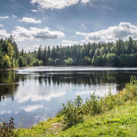 Rybník Pod Valdekem